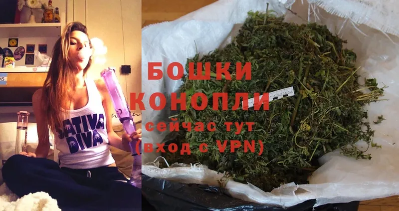 купить закладку  Новомосковск  Конопля White Widow 